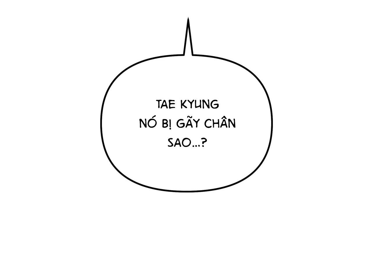 BL 18+ Cây Không Có Rễ Chap 27 - Next Chap 28