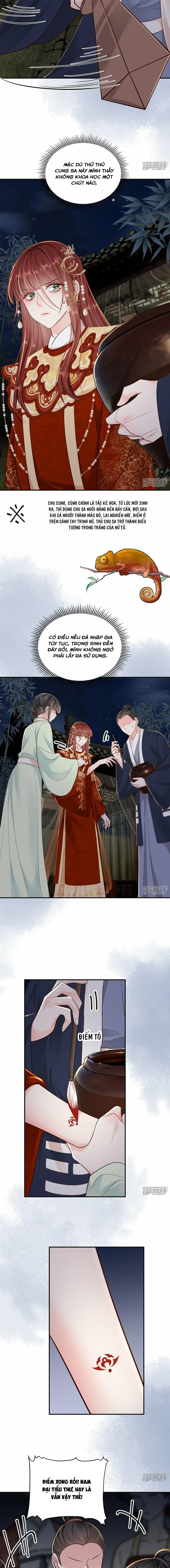 Phú Bà Xuyên Không : Thế Tử Không Dễ Lừa Gạt Chapter 55 - Trang 3