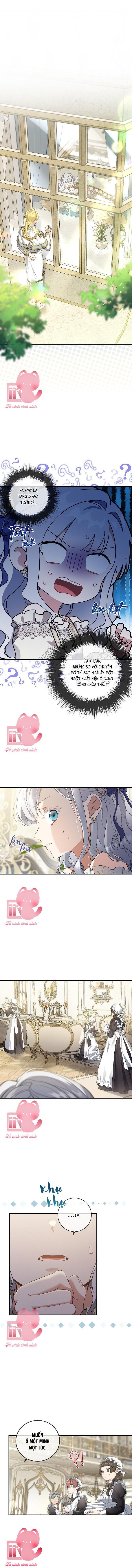 Hướng Về Ánh Dương Lần Nữa Chapter 49 - Next Chapter 50