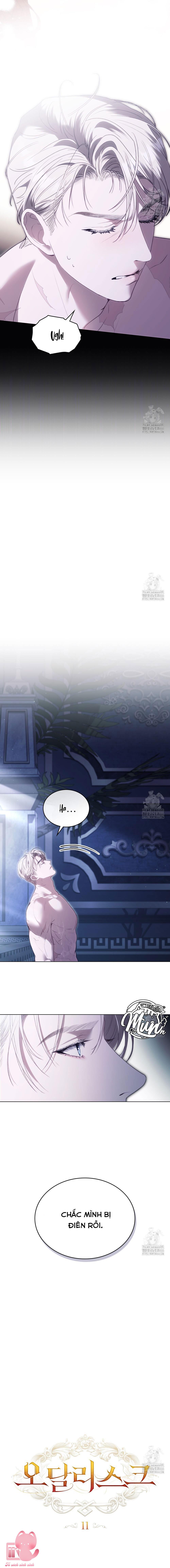 Odalisque Chapter 11 - Next Chapter 12