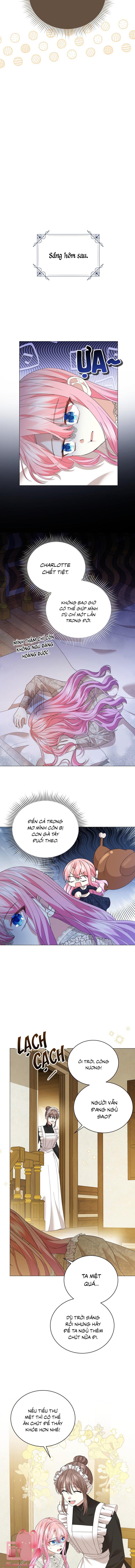 Tiểu Công Nương Muốn Được Hủy Hôn Chap 34 - Trang 3