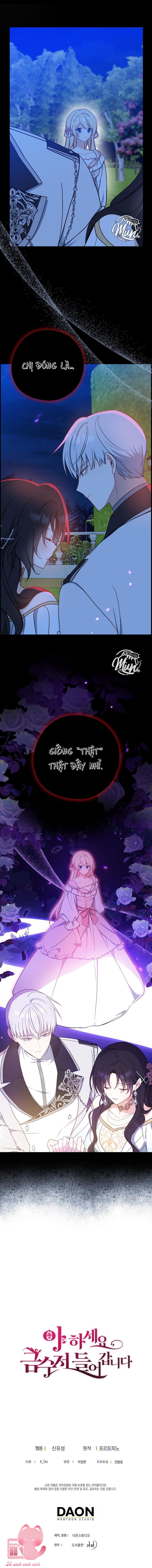 A Nào, Ngậm Thìa Vàng Nhé? Chap 48 - Next Chap 49