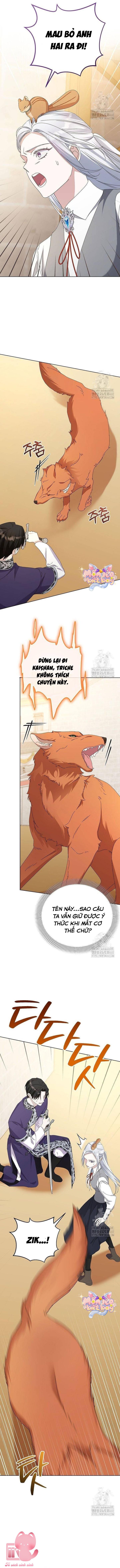 Trở Thành Con Gái Nuôi Của Gia Tộc Sát Thủ Chap 61 - Next 