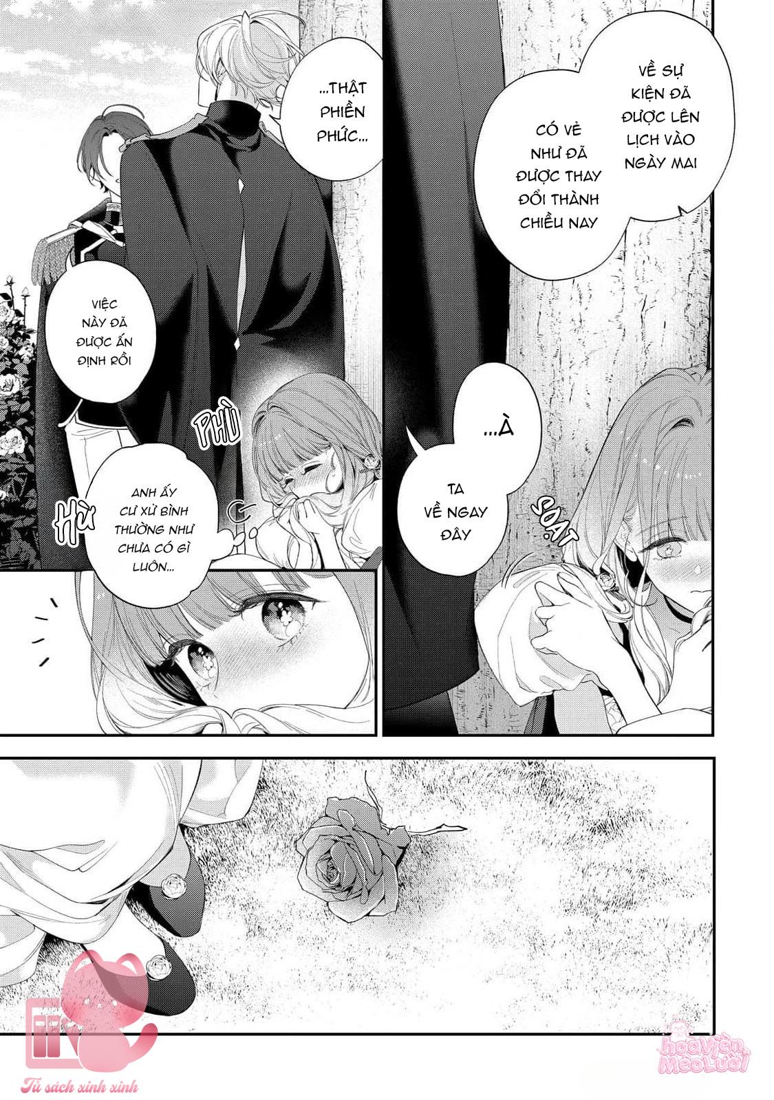 Hoa Hồng Ẩn Giấu Sao Băng Chap 15 - Trang 4