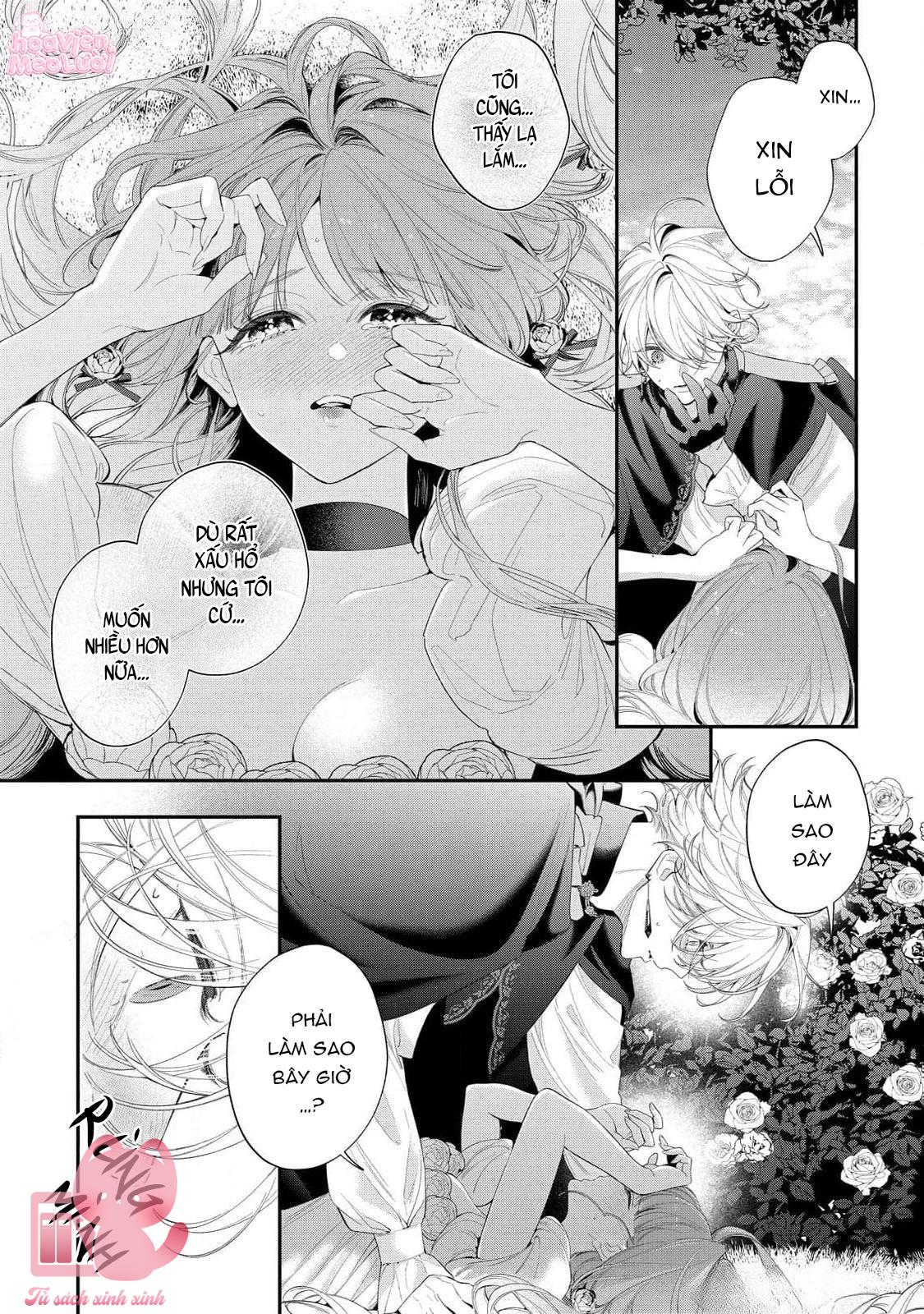 Hoa Hồng Ẩn Giấu Sao Băng Chap 15 - Trang 4