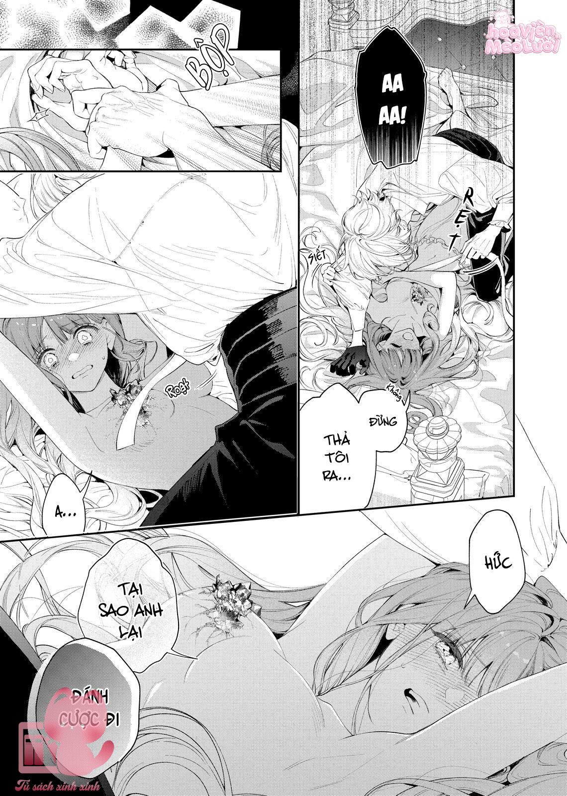 Hoa Hồng Ẩn Giấu Sao Băng Chapter 7 - Next Chapter 8