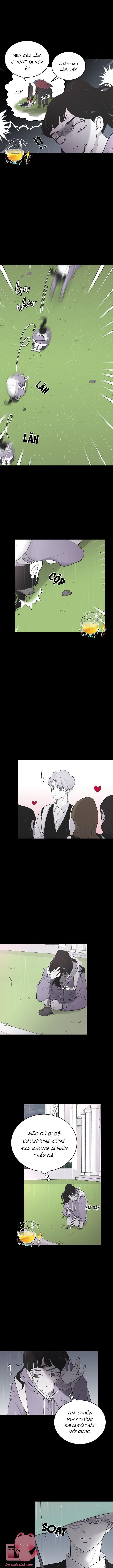 Ba Anh Trai Cực Phẩm Của Tôi Chap 6 - Trang 3