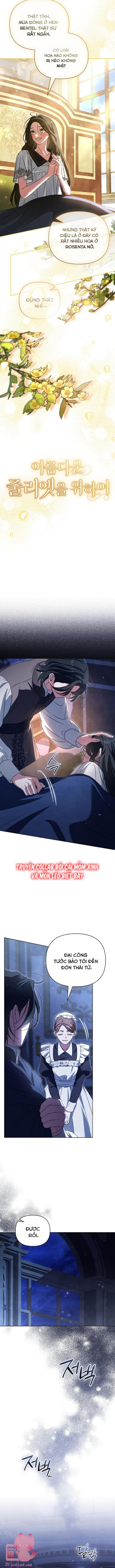 Dành Cho Nàng Juliet Xinh Đẹp Chapter 9 - Next Chap 9
