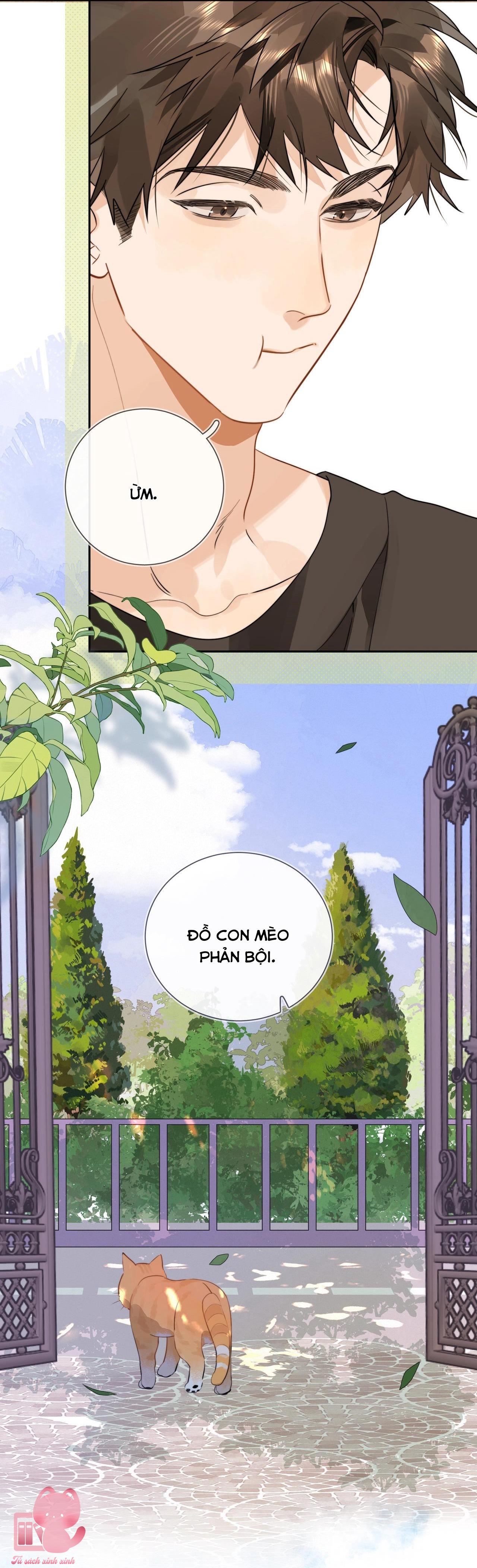 Tỏ Tình Chapter 10 - Trang 4