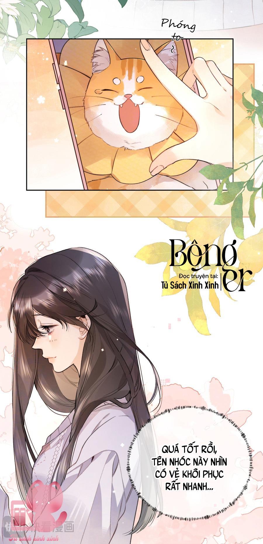Tỏ Tình Chapter 51 - Trang 4