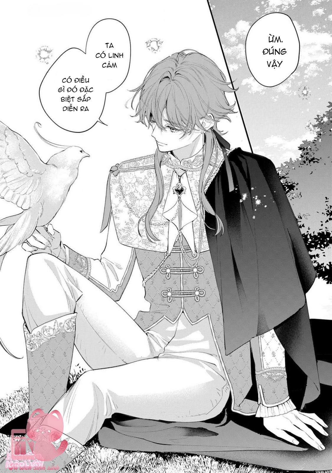 Hoa Hồng Ẩn Giấu Sao Băng Chapter 10 - Next Chapter 11