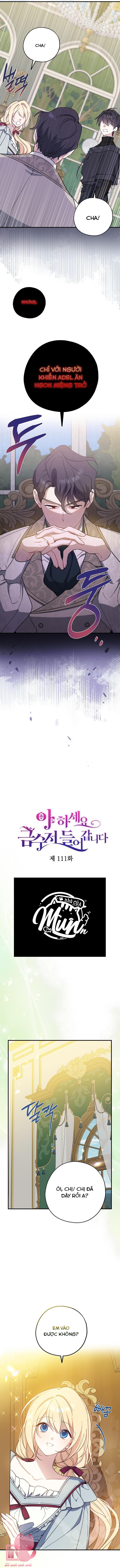 A Nào, Ngậm Thìa Vàng Nhé? Chap 111 - Trang 3