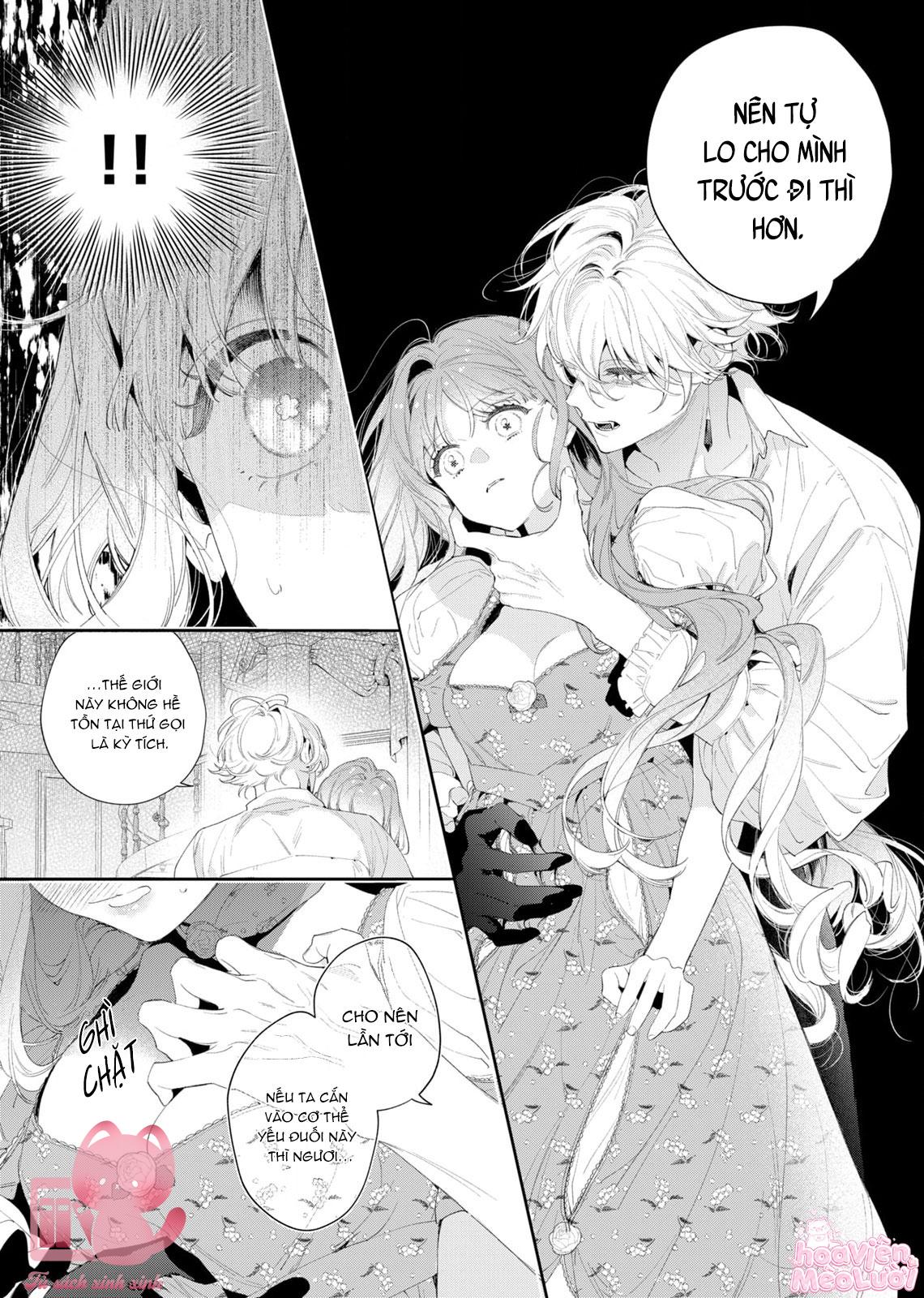 Hoa Hồng Ẩn Giấu Sao Băng Chapter 4 - Next Chapter 5