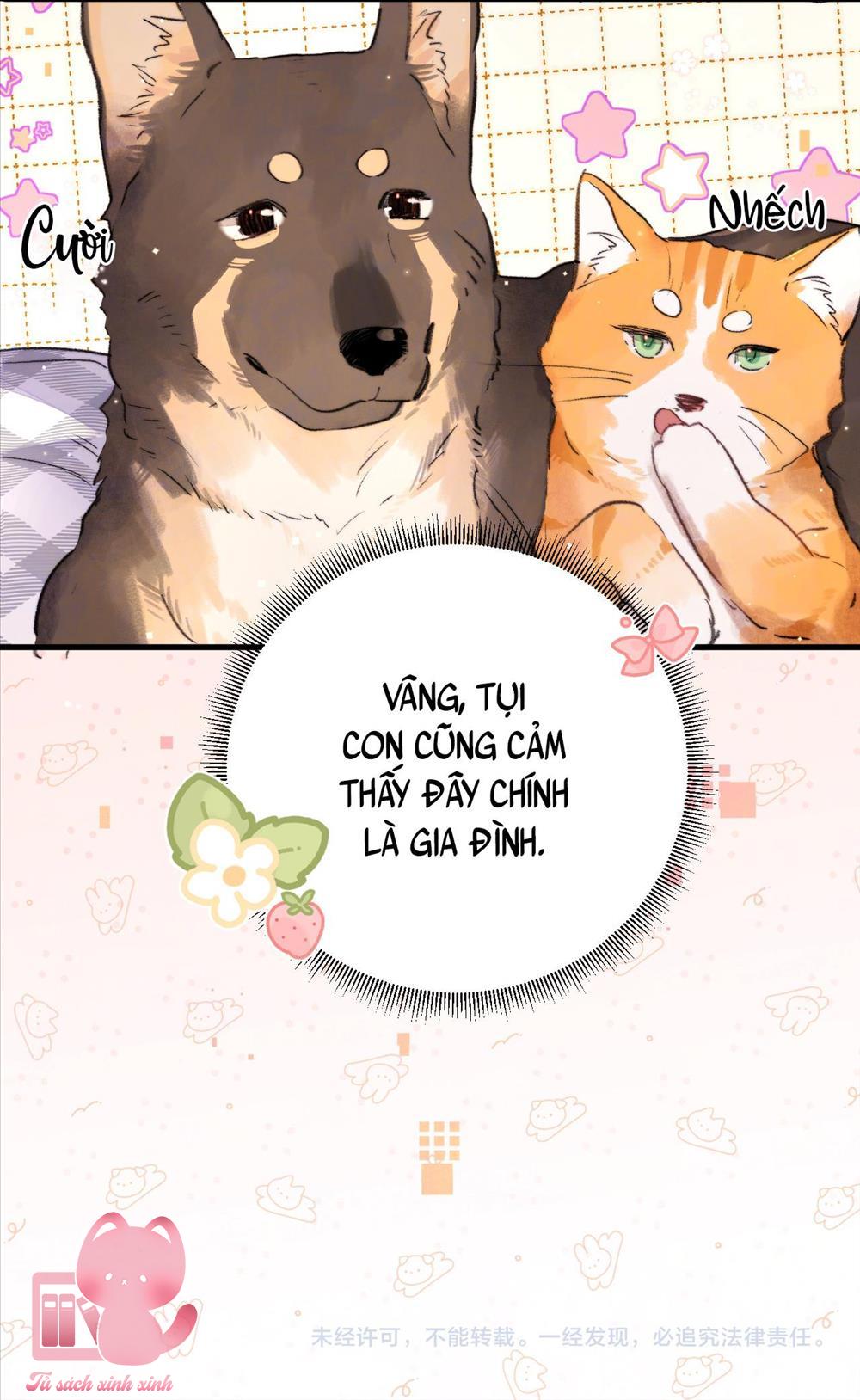 Tỏ Tình Chapter 48 - Trang 4