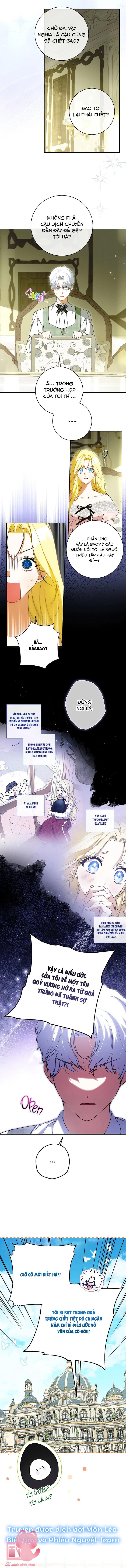 Hình Như Tôi Đã Xuyên Vào Cuốn Tiểu Thuyết Nào Đó Chap 64 - Next 