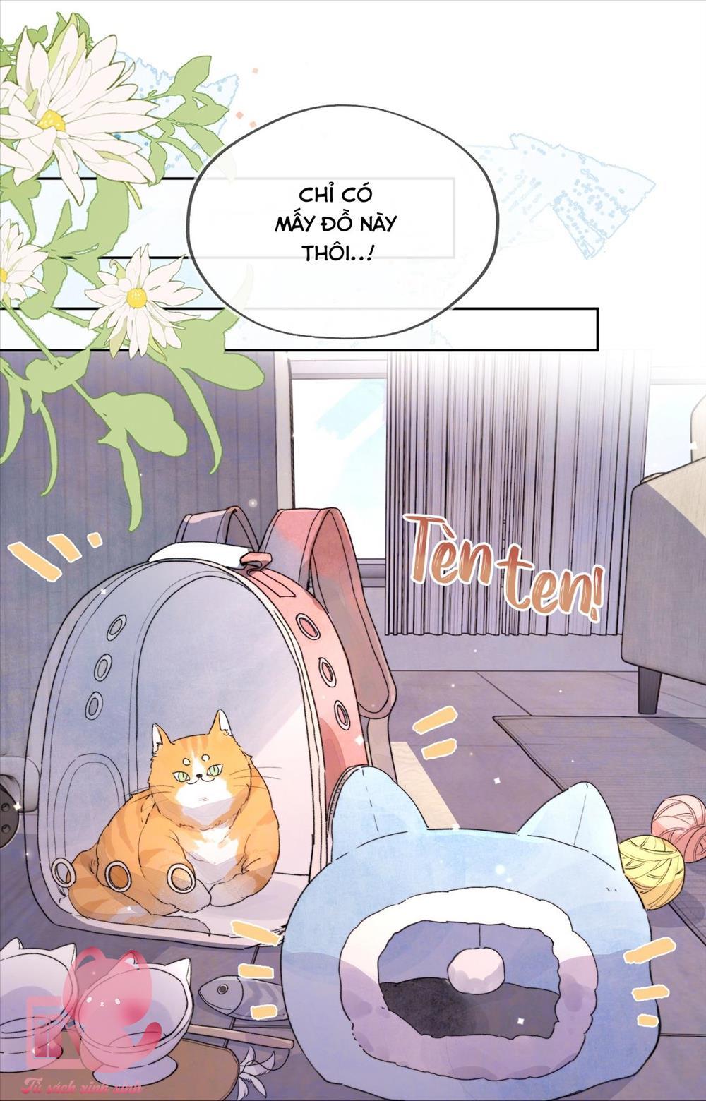 Tỏ Tình Chapter 48 - Trang 4