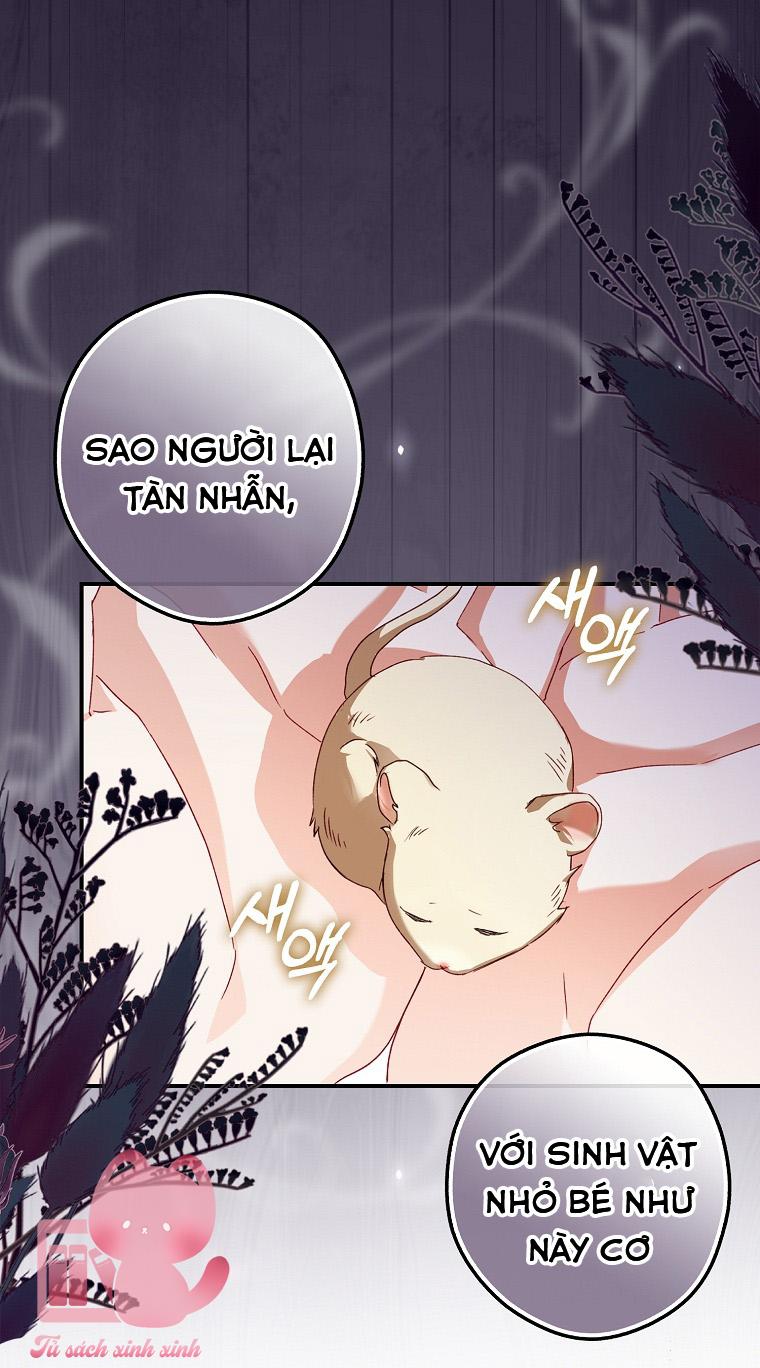 Chuột Đồng Dẫn Lối Cinderella Chap 2 - Next Chap 3