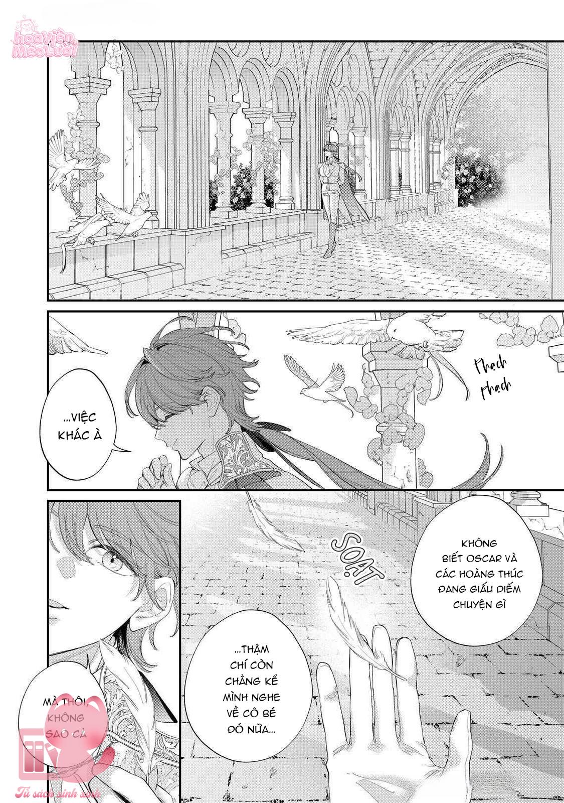 Hoa Hồng Ẩn Giấu Sao Băng Chap 17 - Trang 3