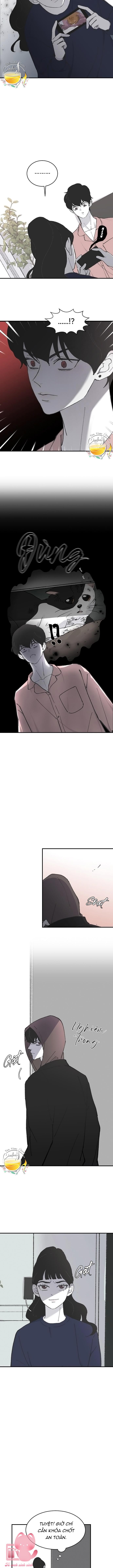 Ba Anh Trai Cực Phẩm Của Tôi Chap 11 - Trang 3