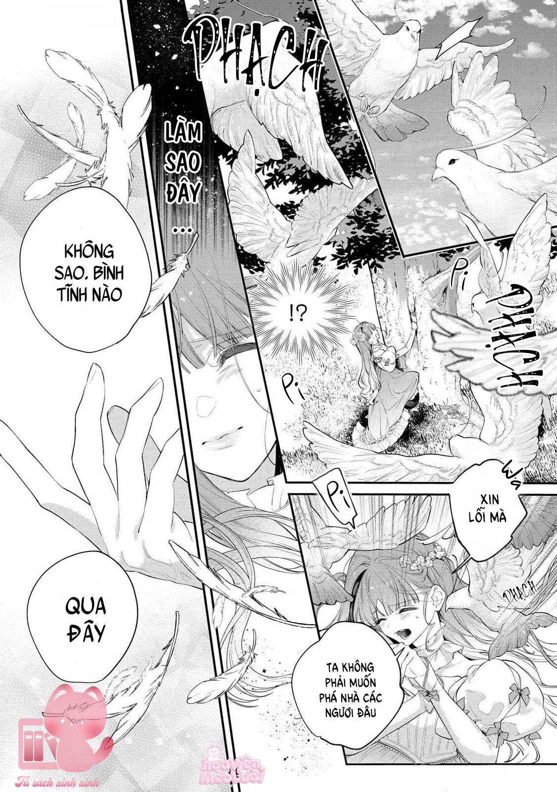 Hoa Hồng Ẩn Giấu Sao Băng Chapter 11 - Next Chapter 12
