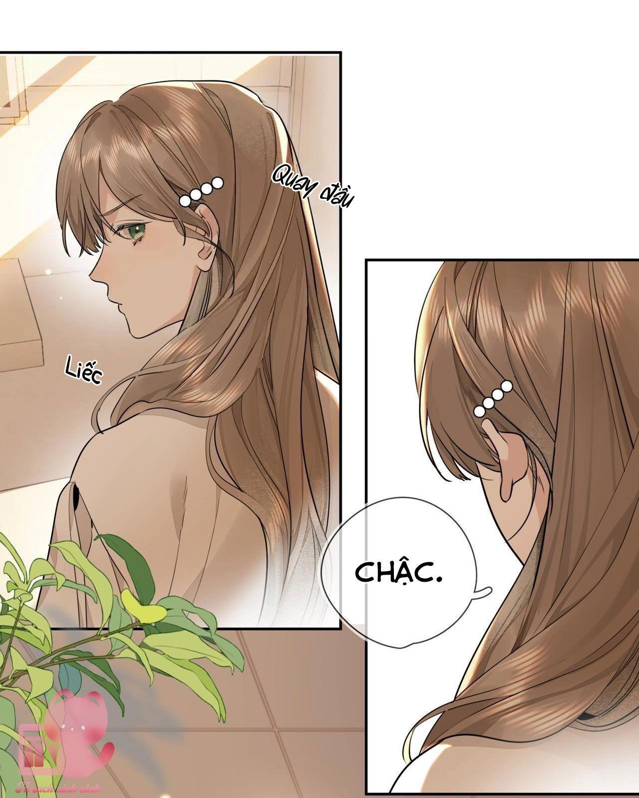 Tỏ Tình Chapter 16 - Trang 4