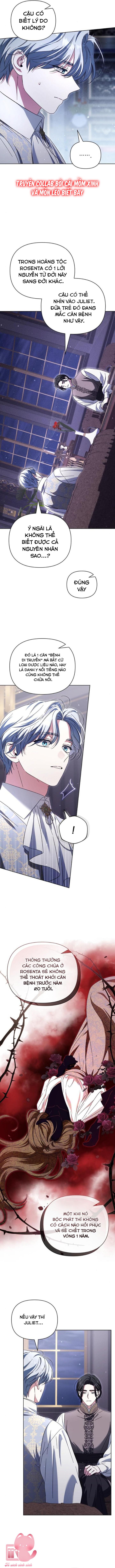 Dành Cho Nàng Juliet Xinh Đẹp Chapter 9 - Trang 4