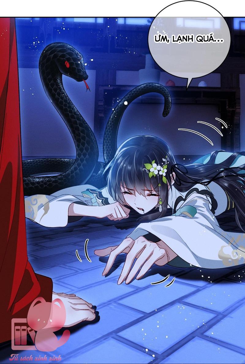 Dâng Cá Muối Cho Sư Tổ Chap 5 - Next Chap 6