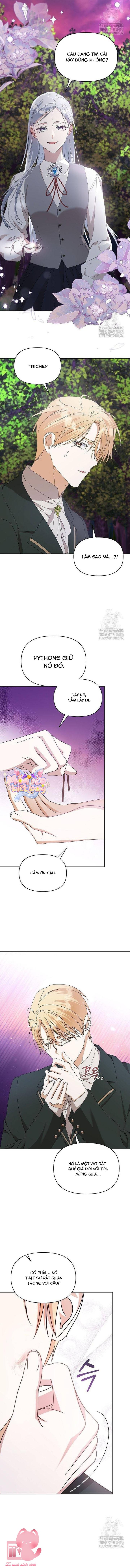 Trở Thành Con Gái Nuôi Của Gia Tộc Sát Thủ Chap 58 - Trang 4