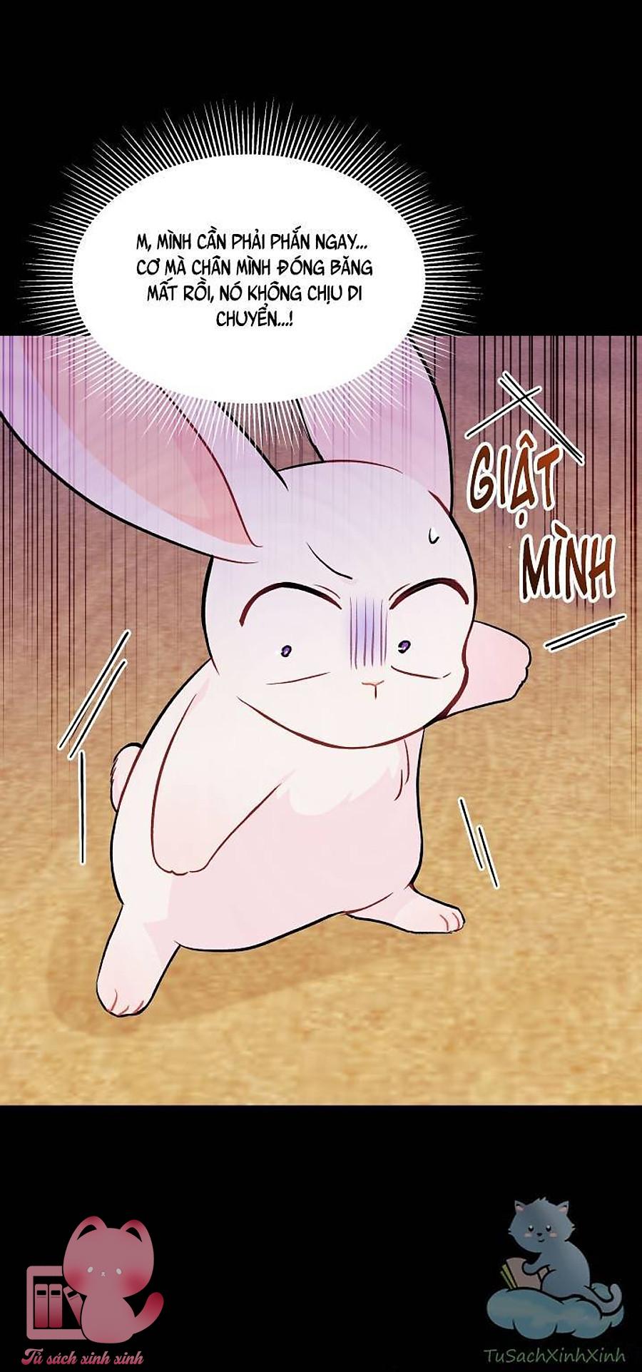 Quan Hệ Cộng Sinh Giữa Báo Đen Và Thỏ Trắng Chap 23 - Next Chap 24