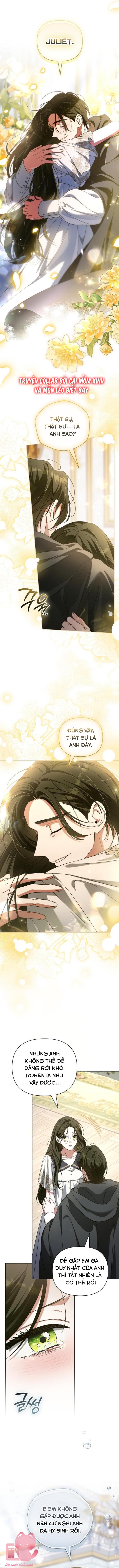 Dành Cho Nàng Juliet Xinh Đẹp Chapter 9 - Trang 4