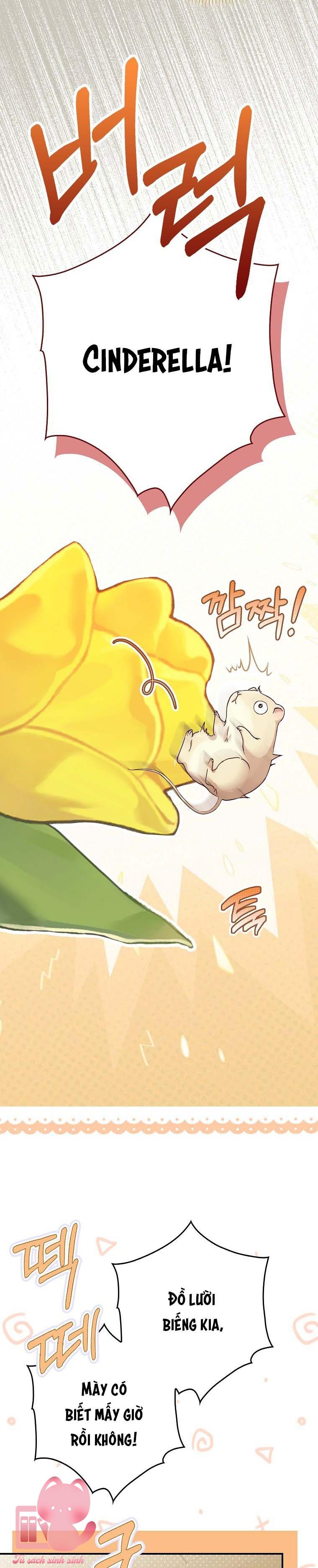 Chuột Đồng Dẫn Lối Cinderella Chap 1 - Next Chap 2