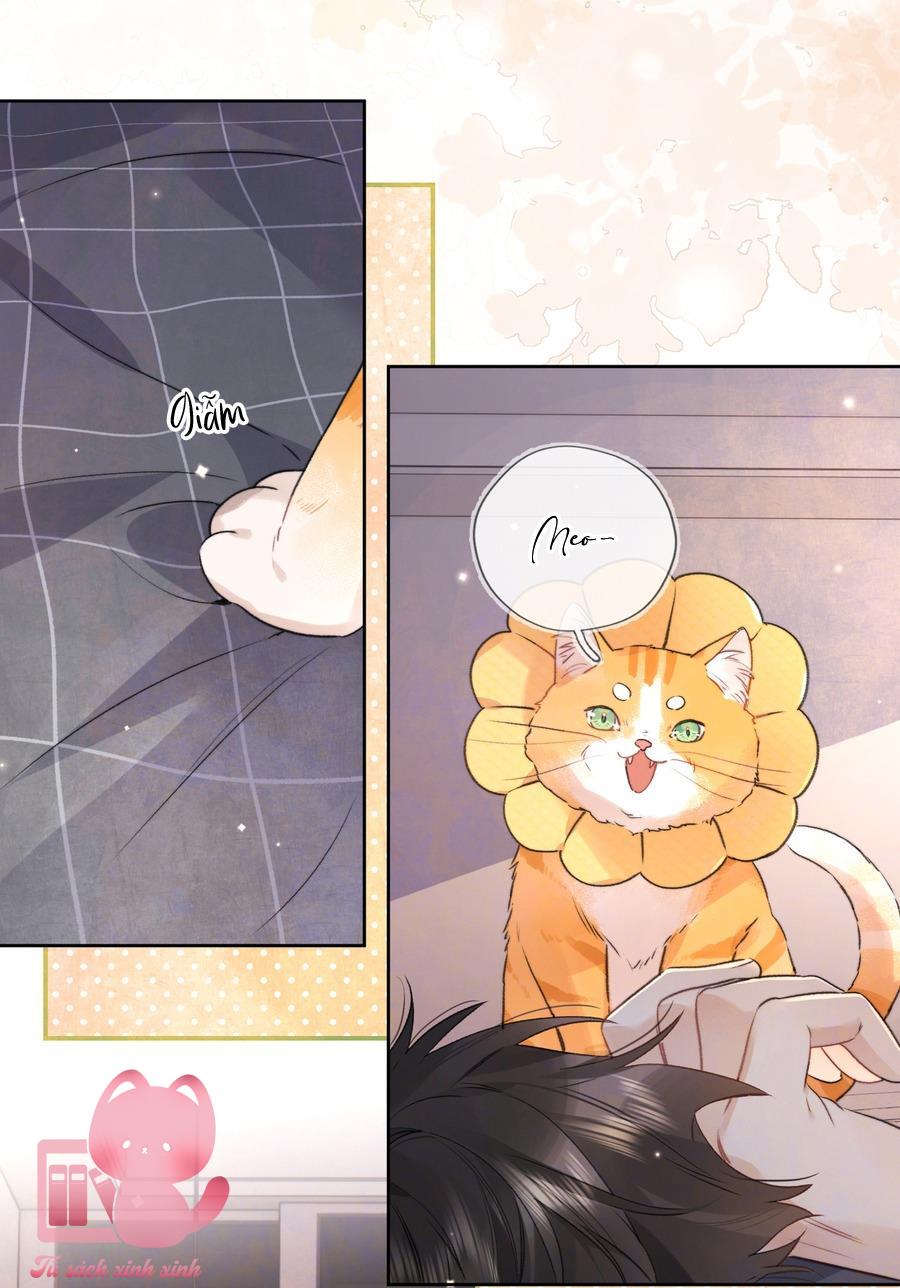 Tỏ Tình Chapter 51 - Trang 4