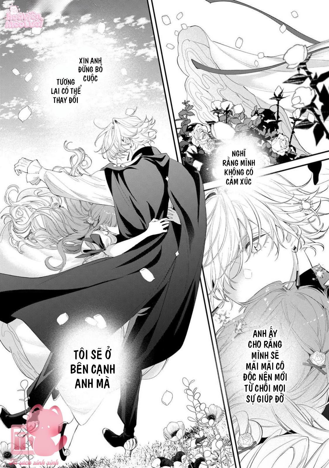 Hoa Hồng Ẩn Giấu Sao Băng Chapter 13 - Next Chapter 14