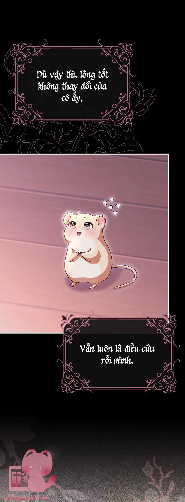 Chuột Đồng Dẫn Lối Cinderella Chap 2 - Next Chap 3