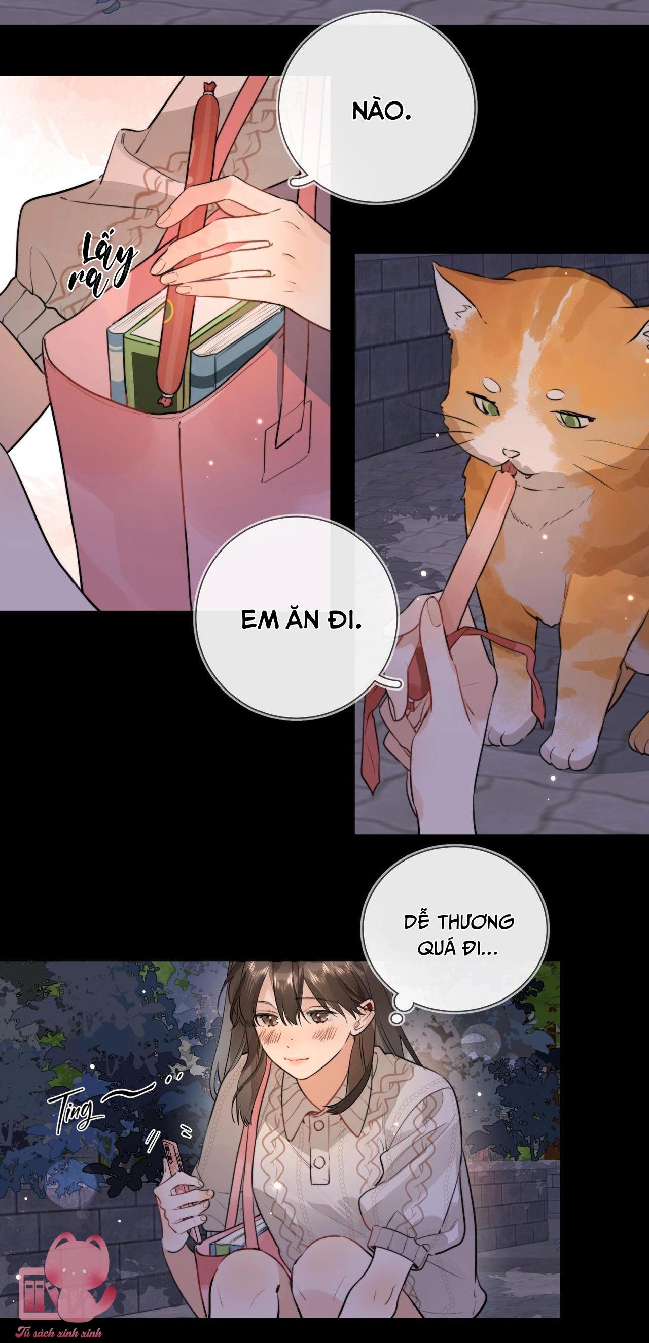 Tỏ Tình Chapter 15 - Trang 4