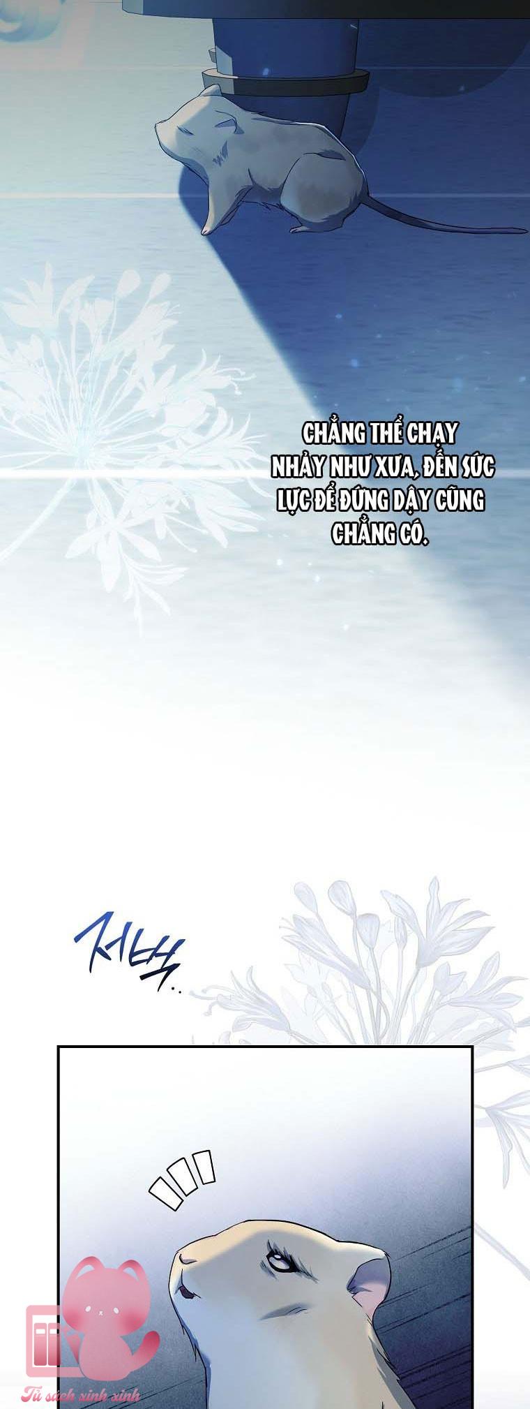 Chuột Đồng Dẫn Lối Cinderella Chap 1 - Next Chap 2