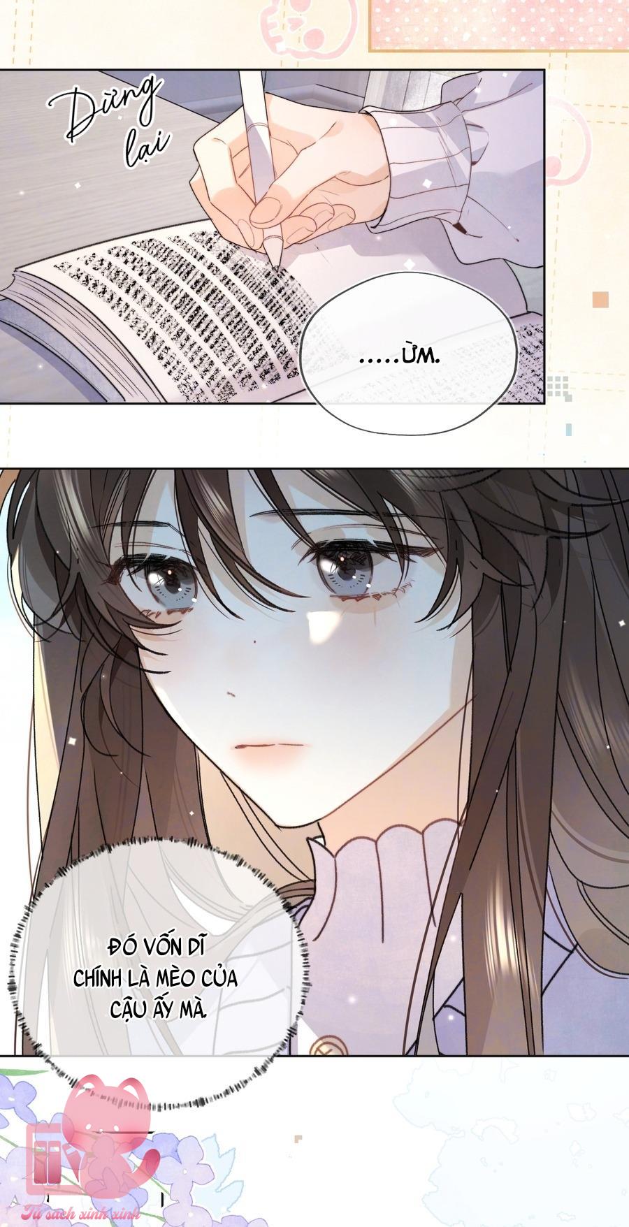 Tỏ Tình Chapter 53 - Trang 4