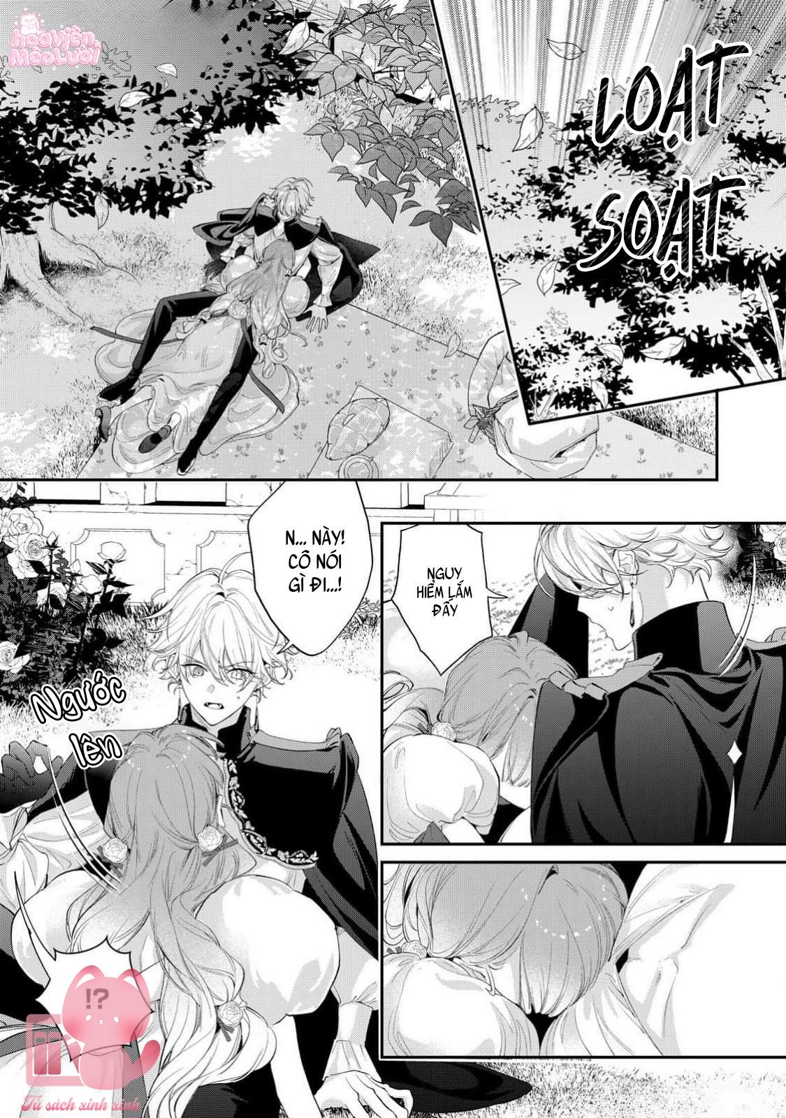 Hoa Hồng Ẩn Giấu Sao Băng Chapter 13 - Next Chapter 14