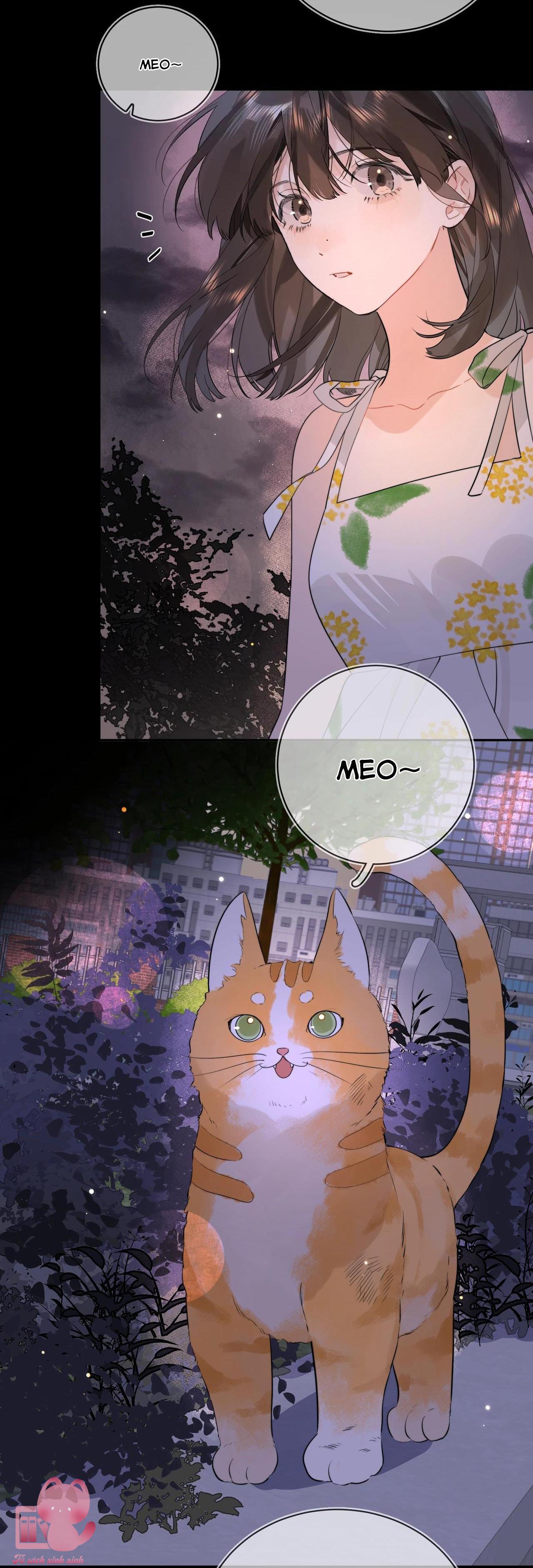 Tỏ Tình Chap 9 - Trang 4