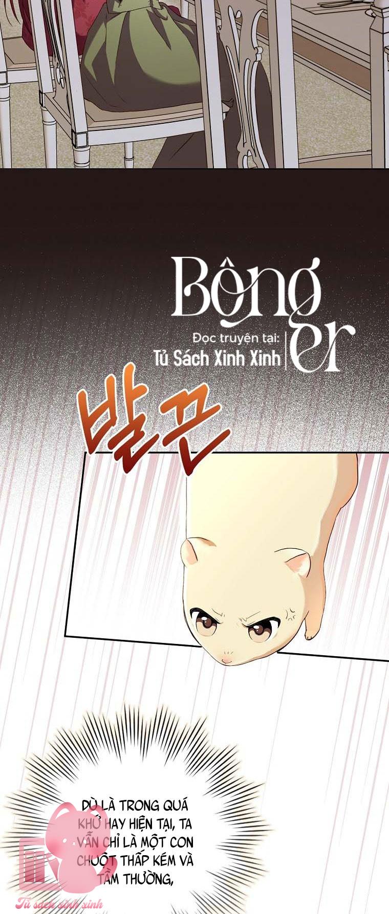 Chuột Đồng Dẫn Lối Cinderella Chap 1 - Next Chap 2