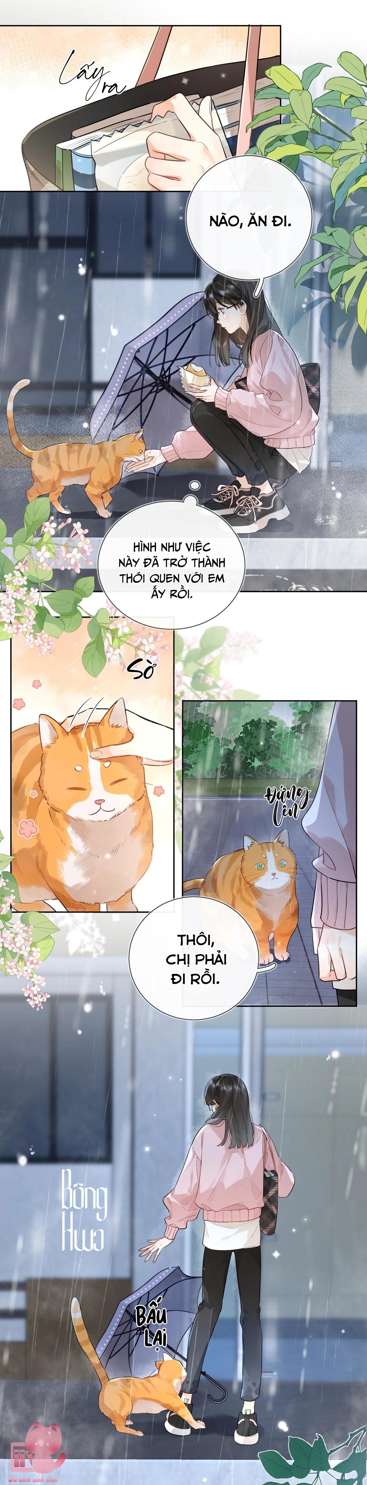 Tỏ Tình Chapter 15 - Trang 4