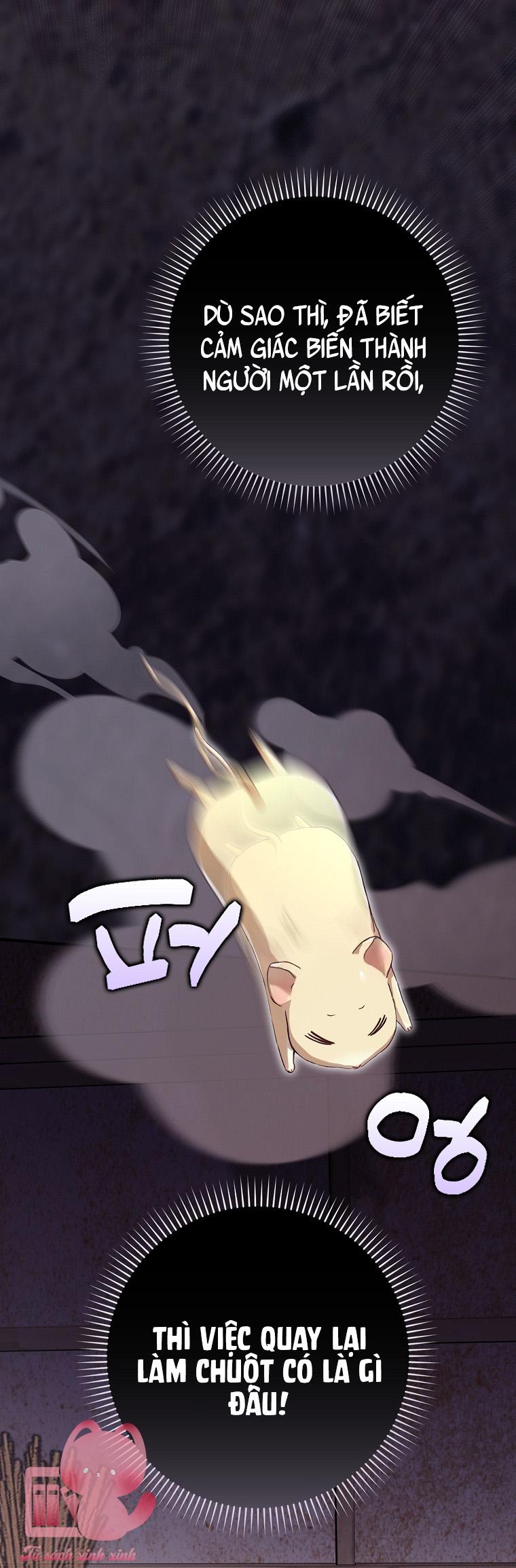 Chuột Đồng Dẫn Lối Cinderella Chap 3 - Next Chap 4