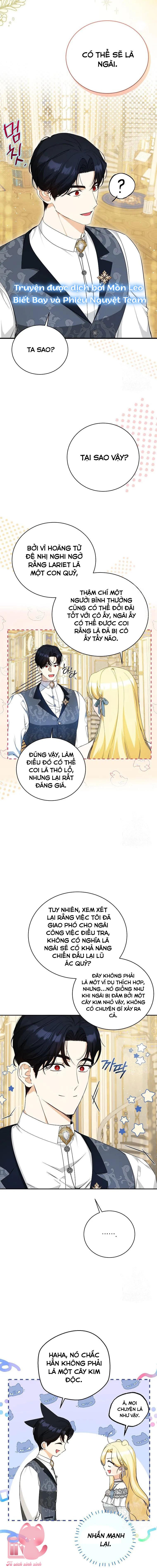 Hình Như Tôi Đã Xuyên Vào Cuốn Tiểu Thuyết Nào Đó Chapter 21 - Next Chapter 22