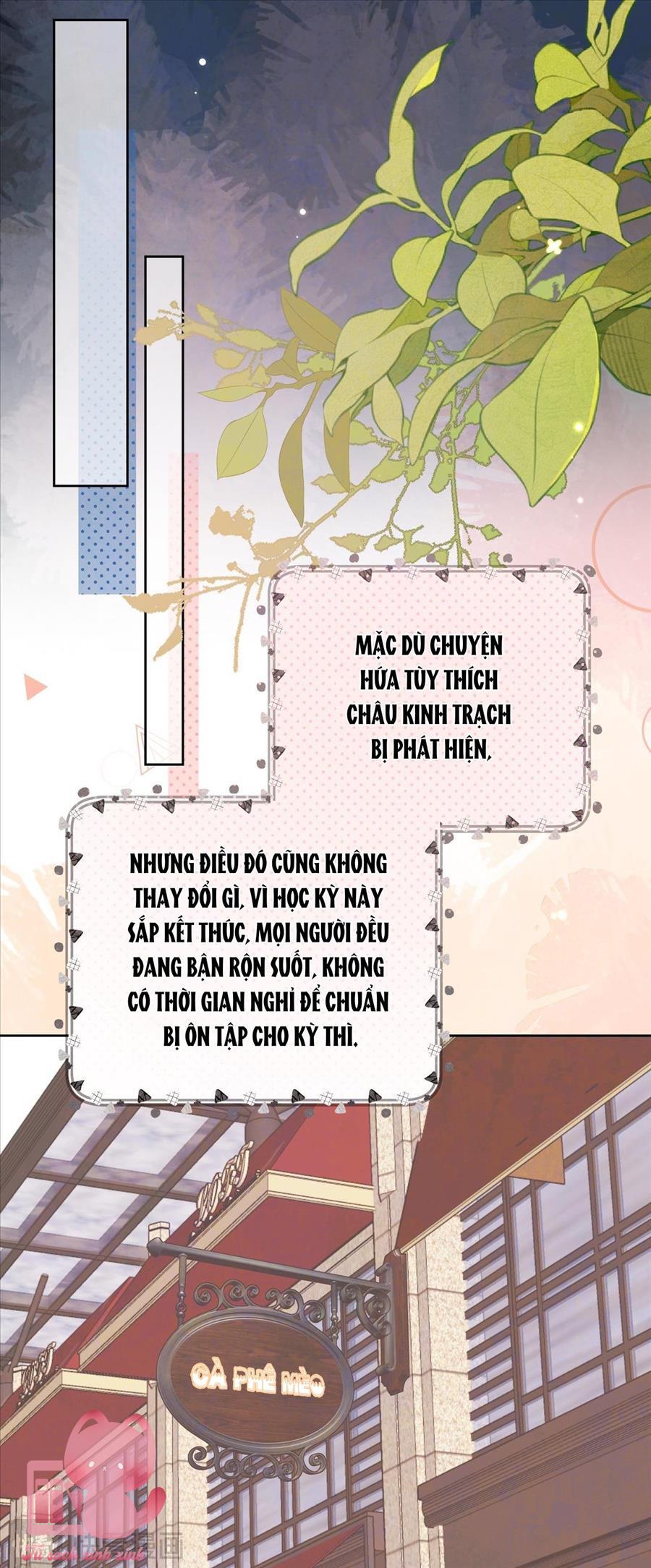 Tỏ Tình Chapter 47 - Trang 4