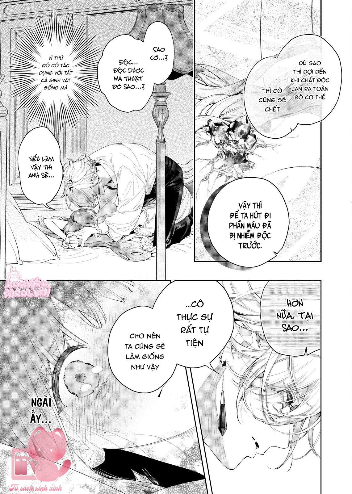Hoa Hồng Ẩn Giấu Sao Băng Chapter 7 - Trang 4