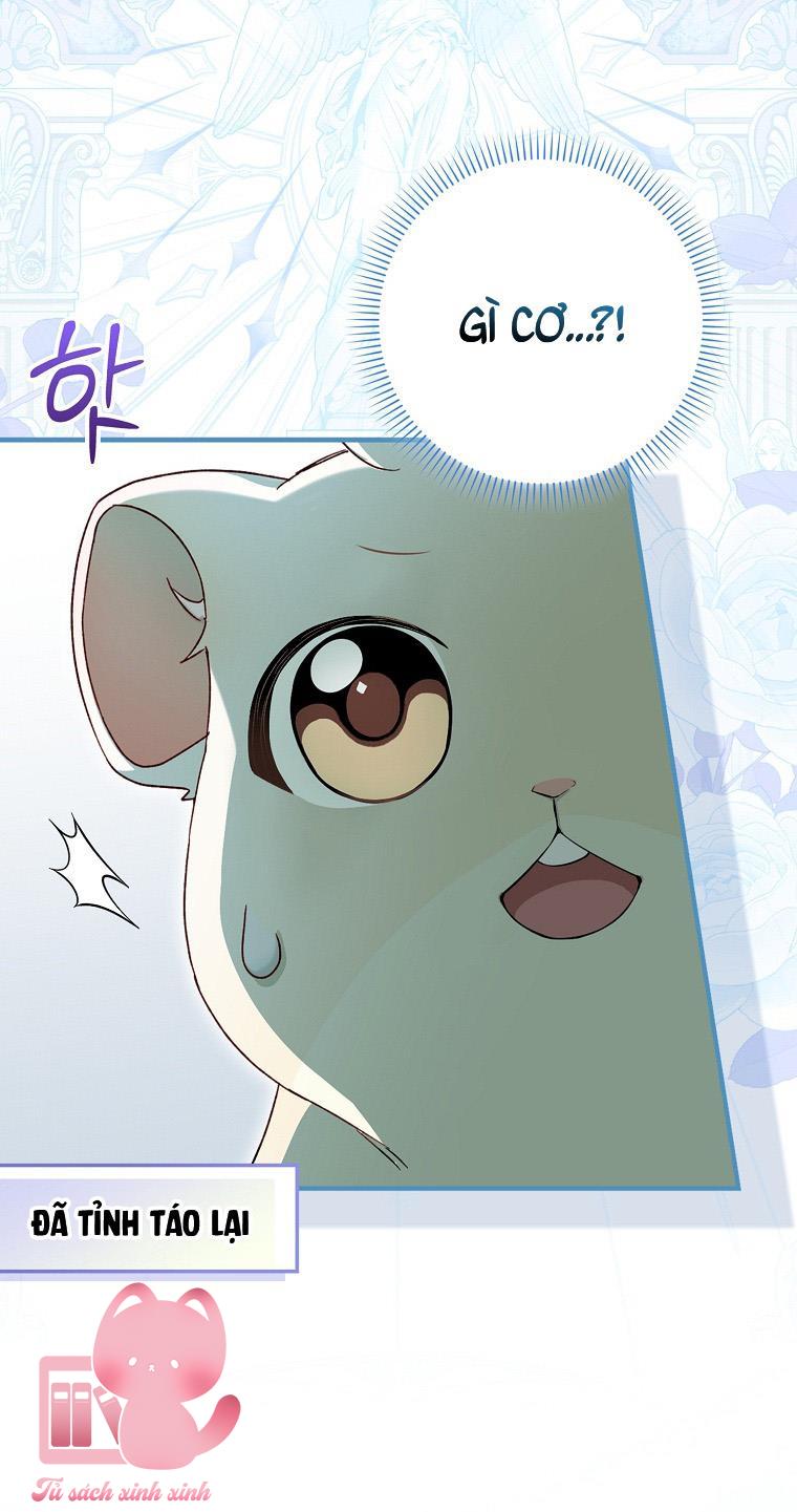 Chuột Đồng Dẫn Lối Cinderella Chap 6 - Trang 2