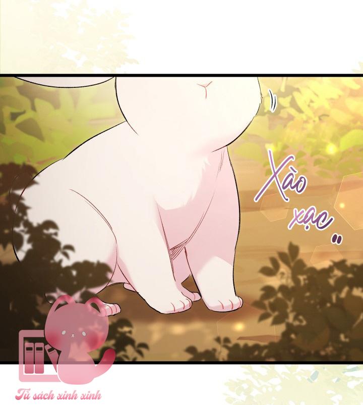Quan Hệ Cộng Sinh Giữa Báo Đen Và Thỏ Trắng Chap 81 - Trang 2
