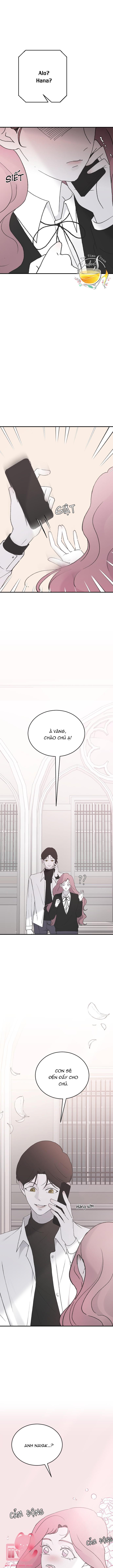 Ba Anh Trai Cực Phẩm Của Tôi Chap 41 - Trang 3