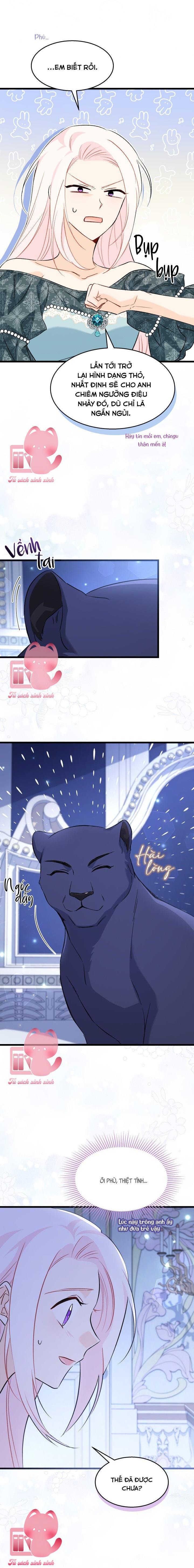 Quan Hệ Cộng Sinh Giữa Báo Đen Và Thỏ Trắng Chap 92 - Trang 2