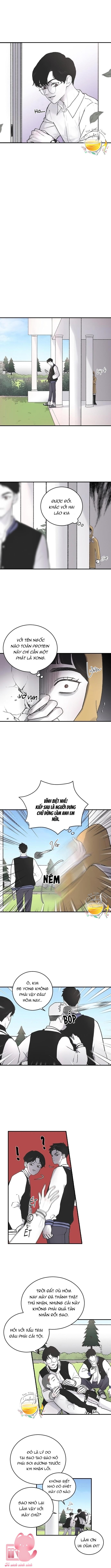 Ba Anh Trai Cực Phẩm Của Tôi Chap 4 - Trang 3